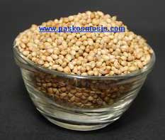 Coriander seeds, Packaging Size : 1kg/ 5kg/10kg/20kg