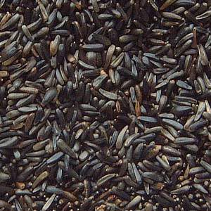 Niger Seeds