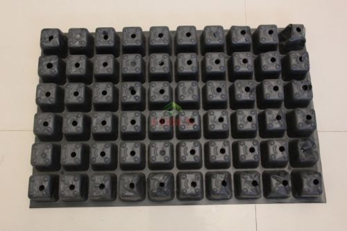 Seedling Tray