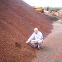 Iron Ore