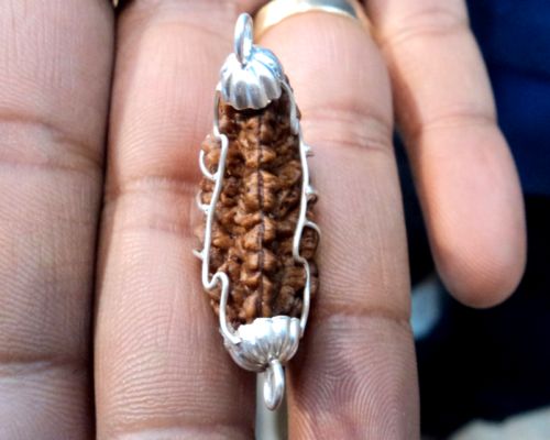 1 Mukhi Rudraksha, 1 Face Rudraksha