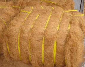 Coir Fiber