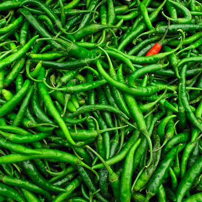 Fresh Green Chili