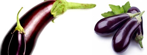 Natural Fresh Eggplant (aubergine, Bringal)