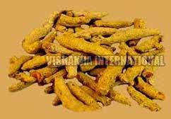 Dry Turmeric