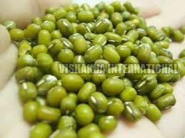 Natural Green Mung, Packaging Type : Bag