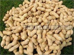 Groundnut Shell, Brand Name : Vishakha Trading Co
