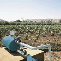 Drip Irrigation System, Pressure : 2 Bar