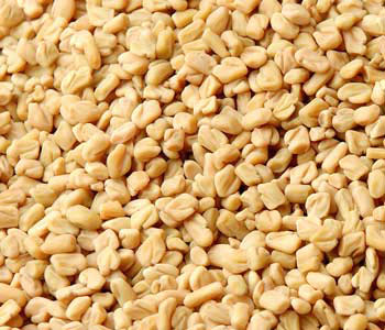 Fenugreek Seeds, Color : Machine Clean