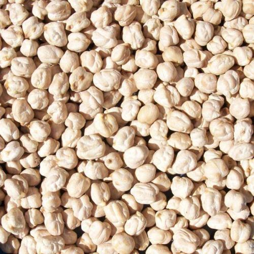 Normal Chick Peas (kabuli Chana)