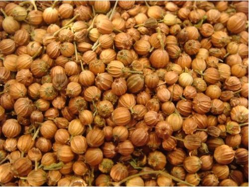 Coriander Seeds