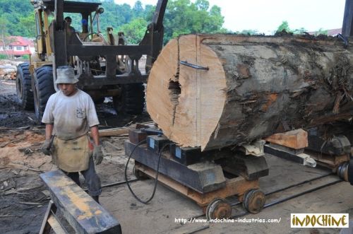 Balau Hardwood