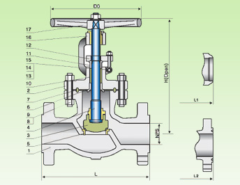 Cast Steel Globe Valve 150 LB /300 LB