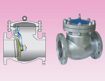 Swing Check Valve
