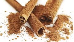 Cinnamon Extract