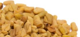 Fenugreek Extract