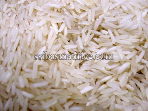 Hard Organic 1121 Raw Rice, For Gluten Free, High In Protein, Packaging Size : 10kg, 20kg, 25kg