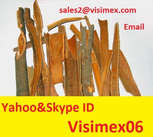 Broken Cassia, Brand Name : Visimex.com
