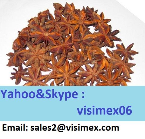 Star Aniseed