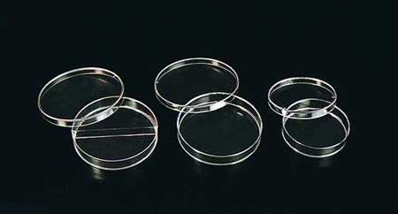 Petri Dish