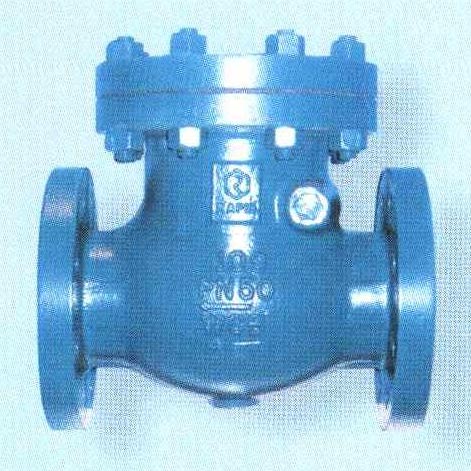Swing Check Valve