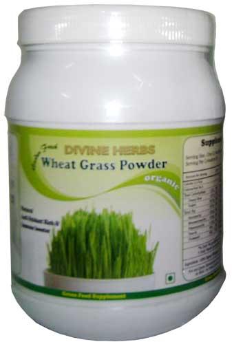 Wheatgrass Powder