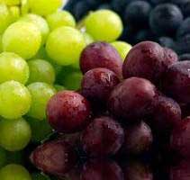 Grapes