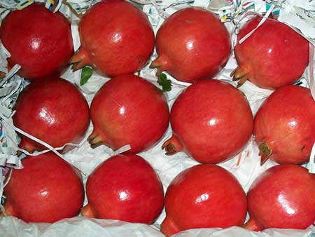 Pomegranates