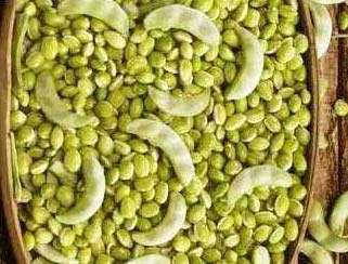 Fresh Surti Papdi Lilva