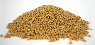 Mustard Seeds