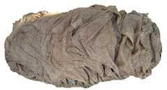 Frozen Buffalo Omasum