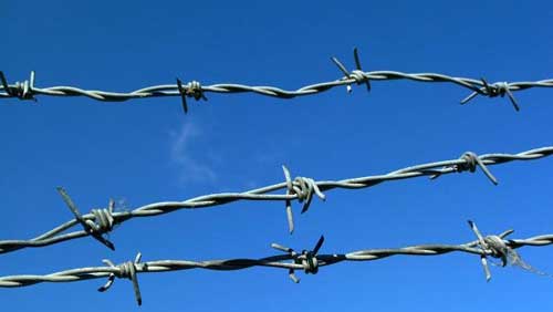 Barbed Wire