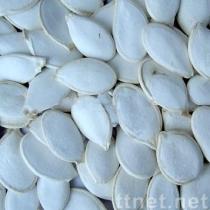 Agriculture Products, Animal Feed, Barley, Wheat, Corn, Sunflower Seeds, Pumpkin Seeds, Cereals, Commoditie