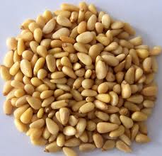 Pine Nut Kernels