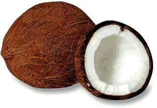 Coconut