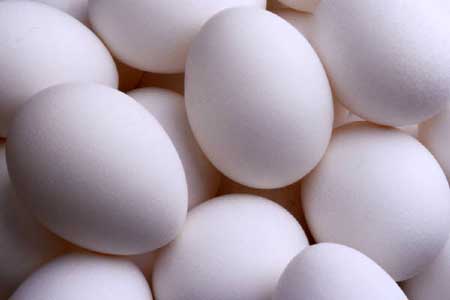 Poultry Eggs, Origin : Poultry