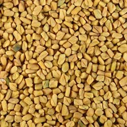 Fenugreek Seeds