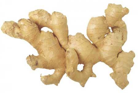 Ginger Root