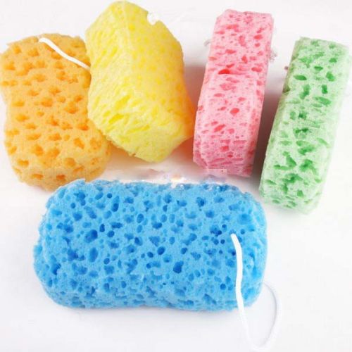 Bath Sponge