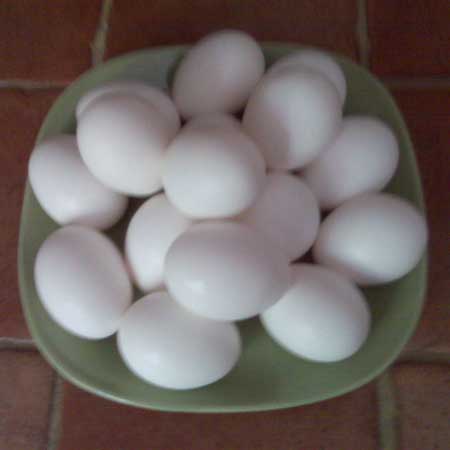 Chicken Eggs