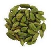 Cardamom