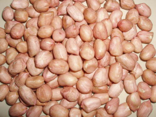 Java Peanut Kernel