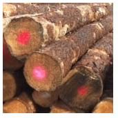 Southern Yellow Pine Logs