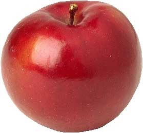 Fresh apple, Grade : A Grade