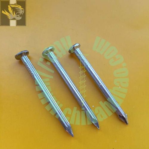 #55 steel Concrete Nails, Packaging Type : white zinc coating, black