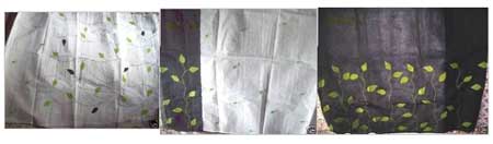 Hand Embroidered Cotton Saree