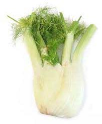 Fennel, Packaging Type : Packets