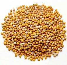 Mustard Seeds