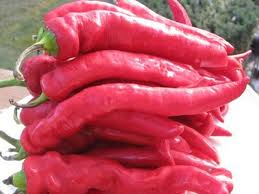 Long Red Pepper