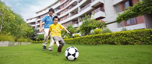 Real estate services